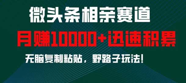 微头条相亲赛道，迅速积累，无脑复制粘贴，野路子玩法，月入1w - 来及网络