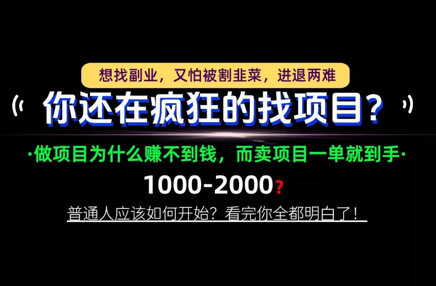 你还在疯狂的找项目？别傻了！卖项目才是真正的一本万利！怎么做，看完你全都明白！【揭秘】 - 来及网络