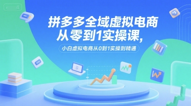 拼多多全域虚拟电商从零到1实操课，小白虚拟电商从0到1实操到精通 - 来及网络