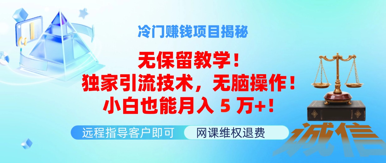 （11864期）冷门赚钱项目无保留教学！独家引流技术，无脑操作！小白也能月入5万+！ - 来及网络