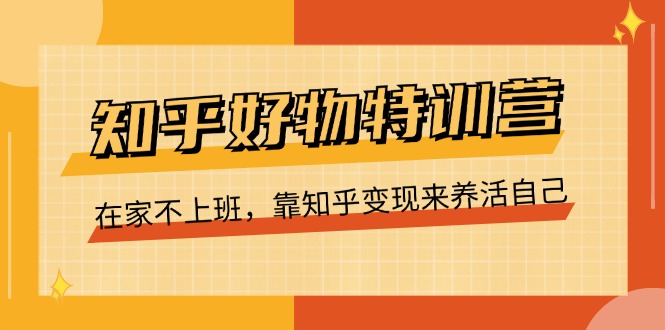知乎好物特训营，在家不上班，靠知乎变现来养活自己（16节） - 来及网络