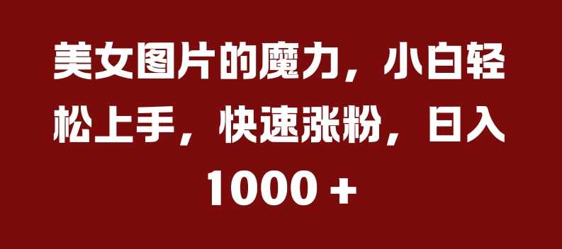 美女图片的魔力，小白轻松上手，快速涨粉，日入几张【揭秘】 - 来及网络