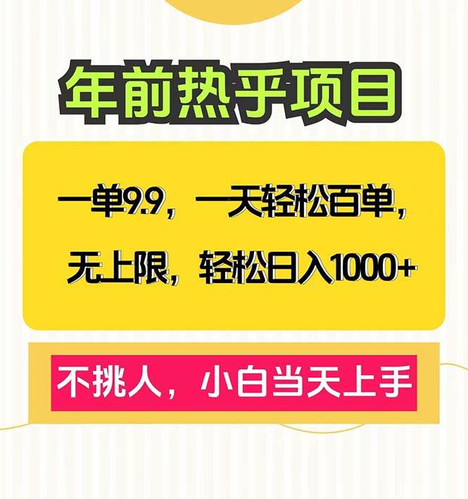 （13795期）一单9.9，一天百单无上限，不挑人，小白当天上手，轻松日入1000+ - 来及网络