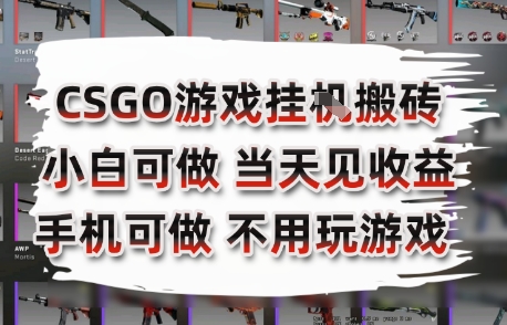 CSGO游戏挂G搬砖，小白纯手机即可操作，不用电脑打游戏，日入3张+，副业网创项目【揭秘】 - 来及网络