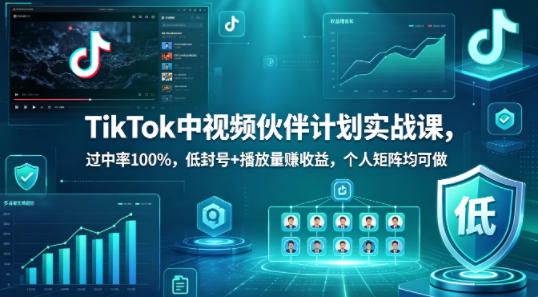 TikTok中视频伙伴计划实战课，过中率100%，低封号+播放量賺收益，个人矩阵均可做 - 来及网络