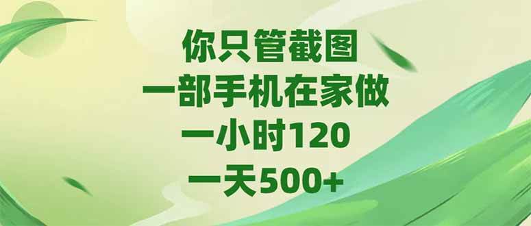 （15039期）你只管截图，一部手机在家做，一小时120，-天500+ - 来及网络