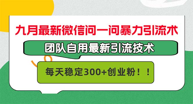 （12735期）九月最新微信问一问暴力引流术，团队自用引流术，每天稳定300+创… - 来及网络