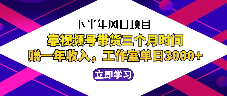 （12849期）下半年风口项目，靠视频号带货三个月时间赚一年收入，工作室单日3000+ - 来及网络