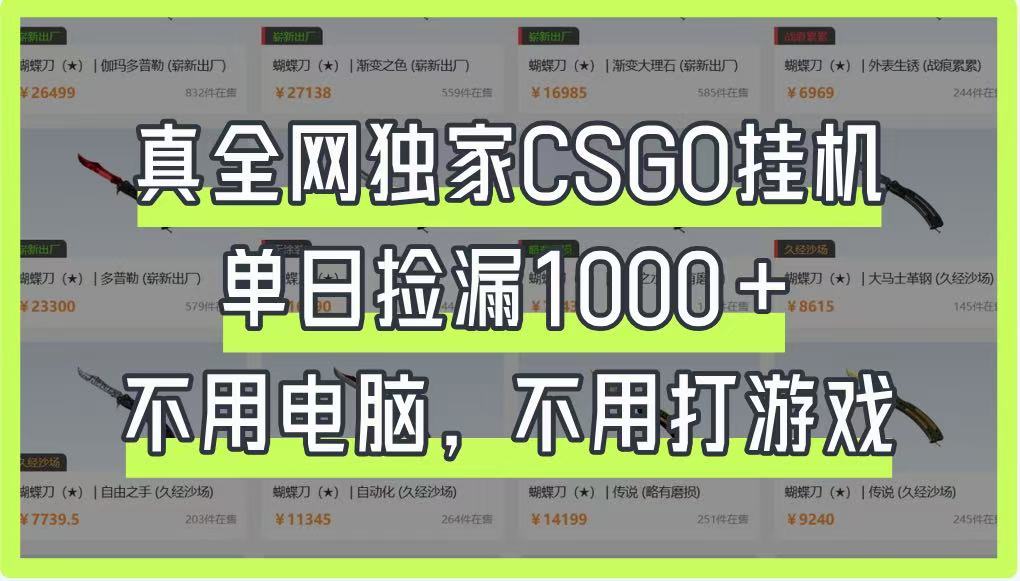 真全网独家CSGO挂机，单日捡漏1000+，不用电脑，不用养号 - 来及网络