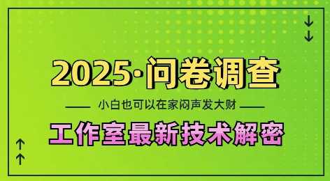 2025问卷调查最新工作室技术解密：一个人在家也可以闷声发大财，小白一天2张，可矩阵放大【揭秘】 - 来及网络