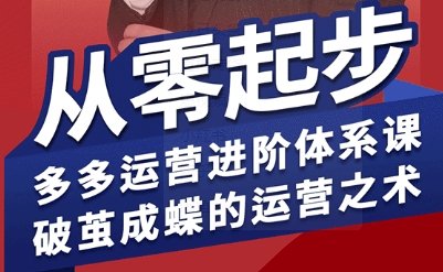 拼多多运营进阶系统课，从零起步，多多运营进阶体系课，破茧成蝶的运营之术 - 来及网络
