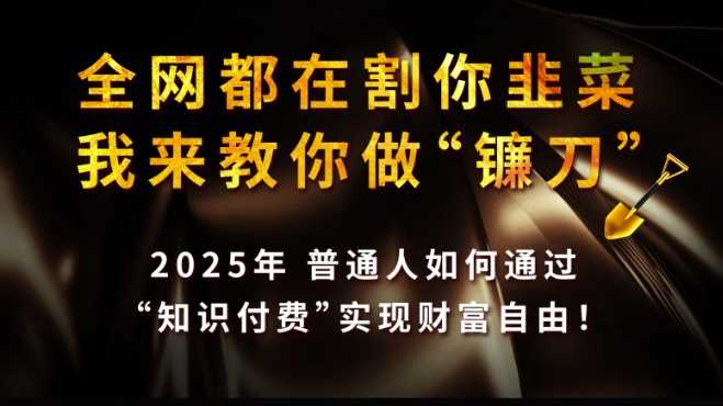 全网都在割你韭菜，我来教你做镰刀,2025普通人如何通过知识付费，实现财F自由【揭秘】 - 来及网络