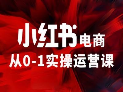 小红书电商从0-1实操运营课，让你从小白到精英 - 来及网络