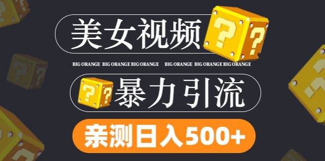 搬运tk美女视频全网分发，日引s粉300+，轻松变现，不限流量不封号【揭秘】 - 来及网络