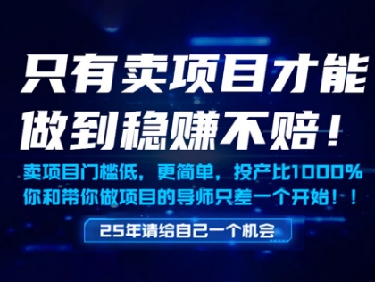 只有卖项目才能做到稳挣不赔，门槛低，更简单，你也可以年入百个W【揭秘】 - 来及网络