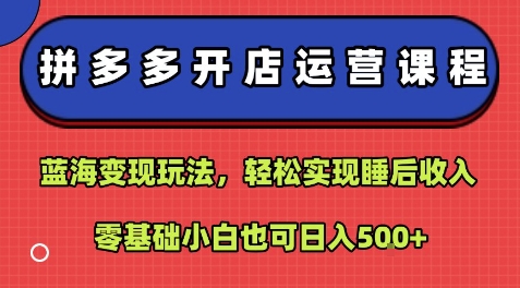 拼多多开店运营课程：蓝海变现玩法，轻松实现睡后收入，零基础小白也可日入5张 - 来及网络