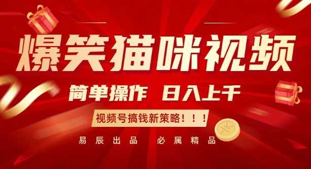 爆笑猫咪视频：简单操作，日入过K，视频号搞钱新策略【揭秘】 - 来及网络
