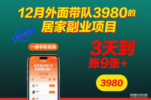 12月外面带队3980的居家副业项目，一部手机实测3天到账9张+，首发教程【揭秘】 - 来及网络
