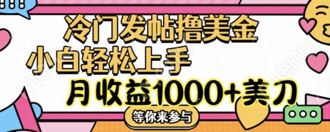 冷门发帖撸美金项目，月收益1000+美金，简单无脑，干就完了【揭秘】 - 来及网络