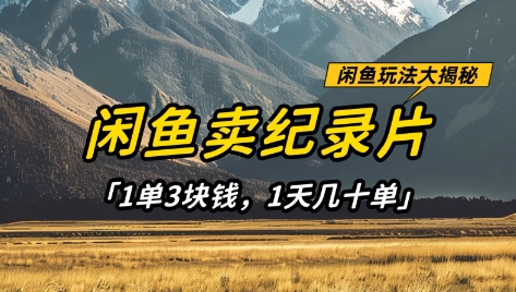 闲鱼卖纪录片1单3块钱，1天几十单，项目稳定有潜力 - 来及网络