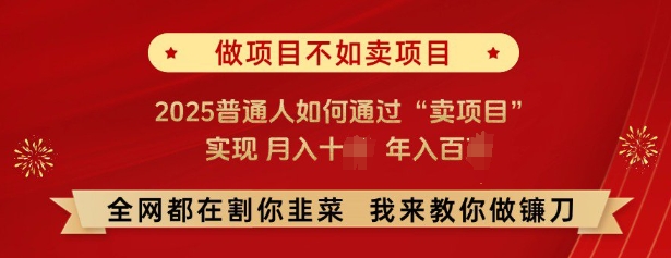 必看，做项目不如卖项目，2025普通人如何通过“卖项目”实现月入十个，年入百个 - 来及网络