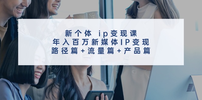新个体ip变现课，年入百万新媒体IP变现，路径篇+流量篇+产品篇 - 来及网络