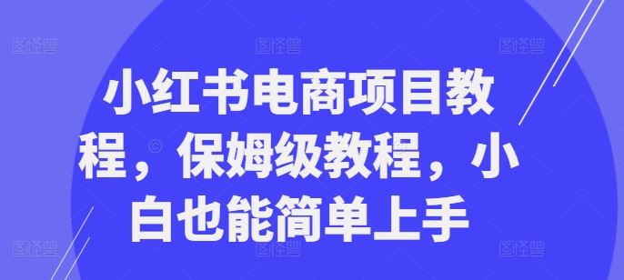 小红书电商项目教程，保姆级教程，小白也能简单上手 - 来及网络