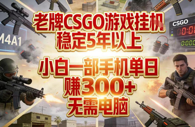 老牌CSGO游戏挂G，稳定5年以上，小白一部手机单日賺3张+，无需电脑【揭秘】 - 来及网络