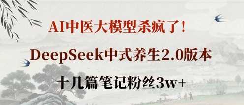 AI中医大模型杀疯了！DeepSeek中式养生2.0版本，十几篇笔记粉丝3w+ - 来及网络