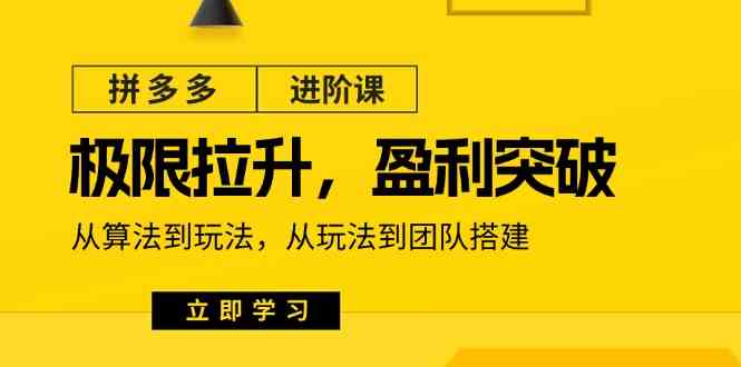 拼多多进阶课：极限拉升/盈利突破：从算法到玩法 从玩法到团队搭建（18节） - 来及网络