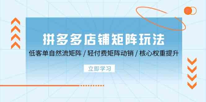 拼多多店铺矩阵玩法：低客单自然流矩阵 / 轻付费矩阵 动销 / 核心权重提升 - 来及网络