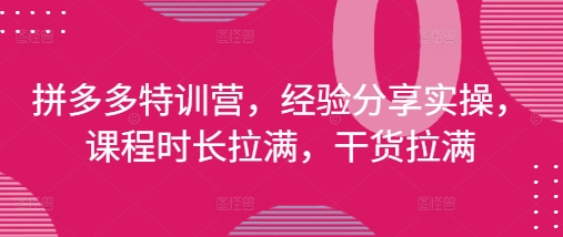 拼多多特训营，经验分享实操，课程时长拉满，干货拉满(更新25年4月) - 来及网络