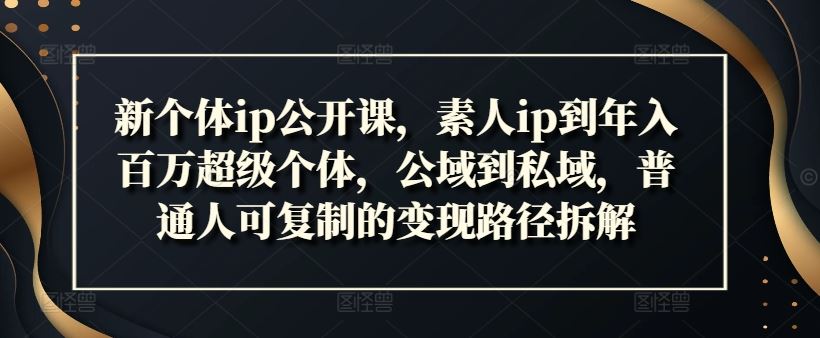 新个体ip公开课，素人ip到年入百万超级个体，公域到私域，普通人可复制的变现路径拆解 - 来及网络