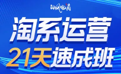 白凤电商·淘系运营21天速成班(更新8月) - 来及网络