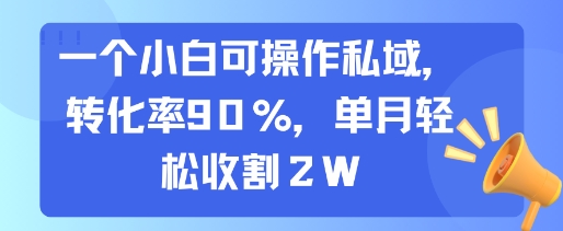 一个小白可操作私域，转化率90%，单月轻松收割2W - 来及网络