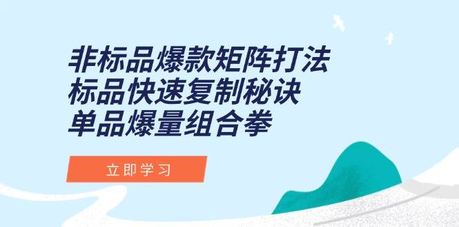 （15068期）非标品爆款矩阵打法，标品快速复制秘诀，单品爆量组合拳 - 来及网络
