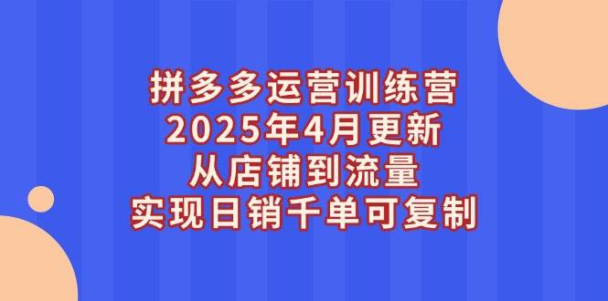 （14469期）拼多多运营训练营2025年4月更新，从店铺到流量，实现日销千单可复制 - 来及网络