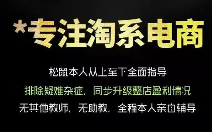 松鼠会电商VIP课程，从基础布局到高阶优化，助你掌握淘宝运营逻辑，提升店铺流量与转化(更新0815) - 来及网络