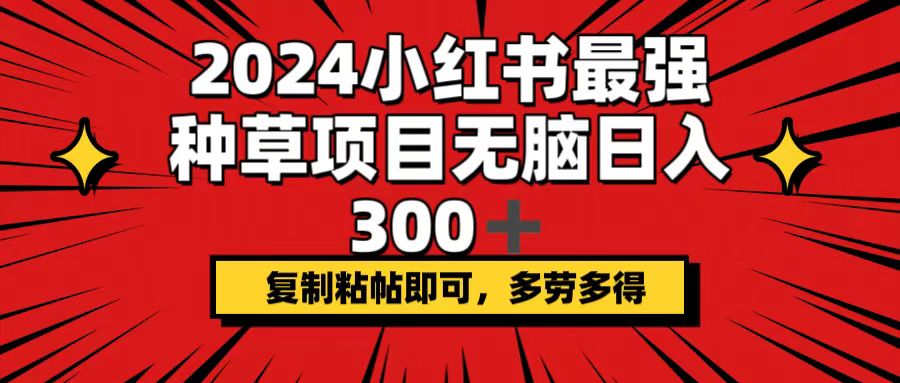 （12336期）2024小红书最强种草项目，无脑日入300+，复制粘帖即可，多劳多得 - 来及网络