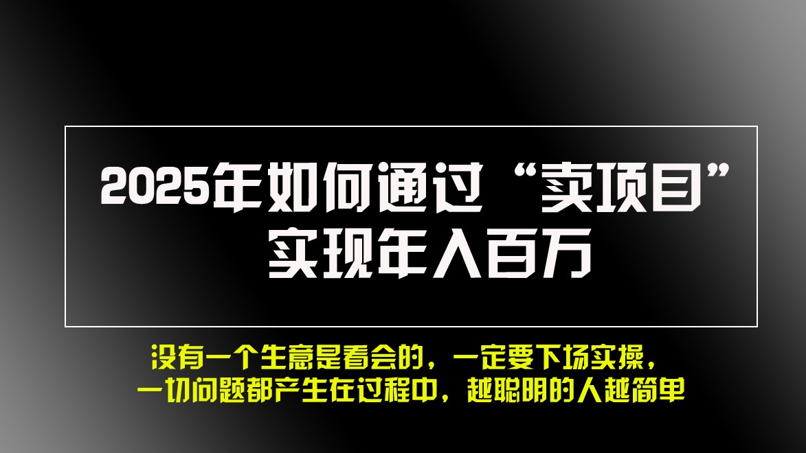 2025年如何通过“卖项目”实现年入百万 - 来及网络