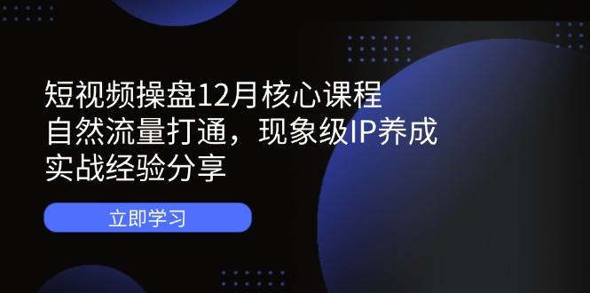 （14447期）短视频操盘12月核心课程：自然流量打通，现象级IP养成，实战经验分享 - 来及网络