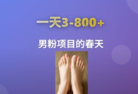 AI一键生成美女素材，一天收益3-8张，男粉项目的春天 - 来及网络