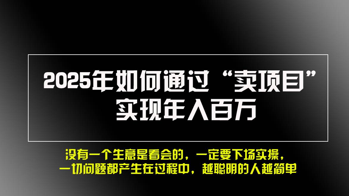 （13468期）2025年如何通过“卖项目”实现年入百万，做网赚必看！！ - 来及网络