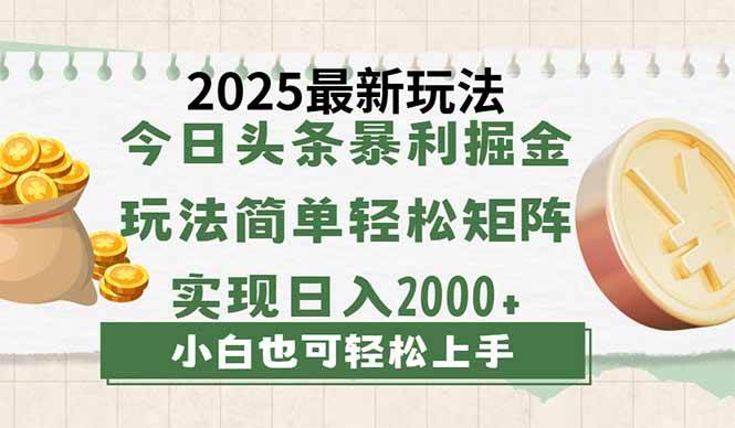 （14120期）今日头条2025最新玩法，思路简单，复制粘贴，轻松实现矩阵日入2000+ - 来及网络