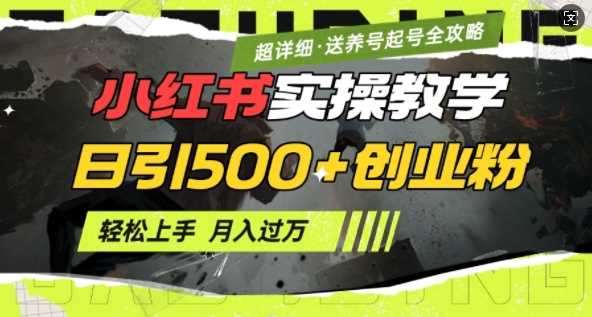 2月小红书最新日引500+创业粉实操教学【超详细】小白轻松上手，月入1W+，附小红书养号起号SOP - 来及网络