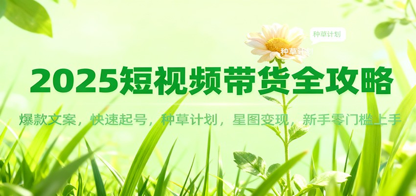 2025短视频带货全攻略：爆款文案，快速起号，种草计划，星图变现，新手零门槛上手 - 来及网络