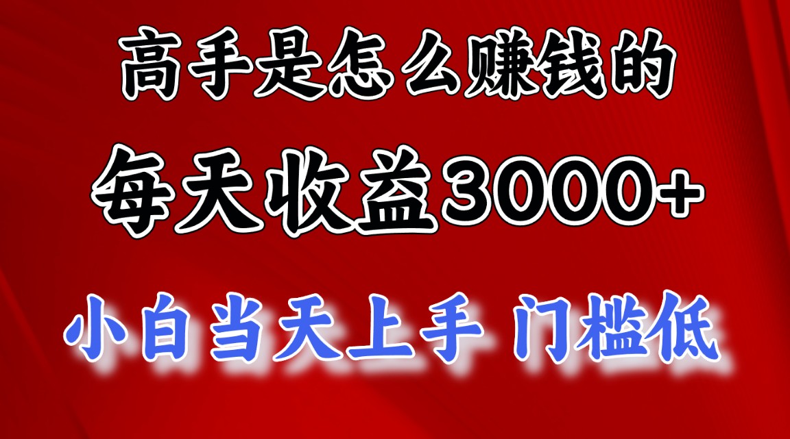 （12144期）1天收益3000+，月收益10万以上，24年8月份爆火项目 - 来及网络