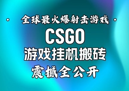 【年底大揭秘】基于全球最火爆的射击CSGO游戏挂G搬砖，日入5张+，震撼公开 - 来及网络