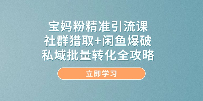 （14820期）宝妈粉精准引流课，社群猎取+闲鱼爆破，私域批量转化全攻略 - 来及网络