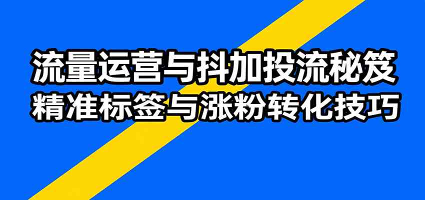 流量运营与抖加投流秘笈，含算法解析、爆款打造、精准标签与涨粉转化技巧 - 来及网络